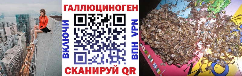 Галлюциногенные грибы MAGIC MUSHROOMS  kraken ONION  Кодинск 