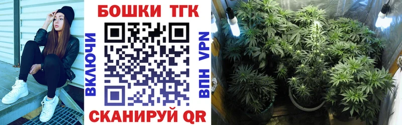 где купить наркоту  Кодинск  Каннабис план 
